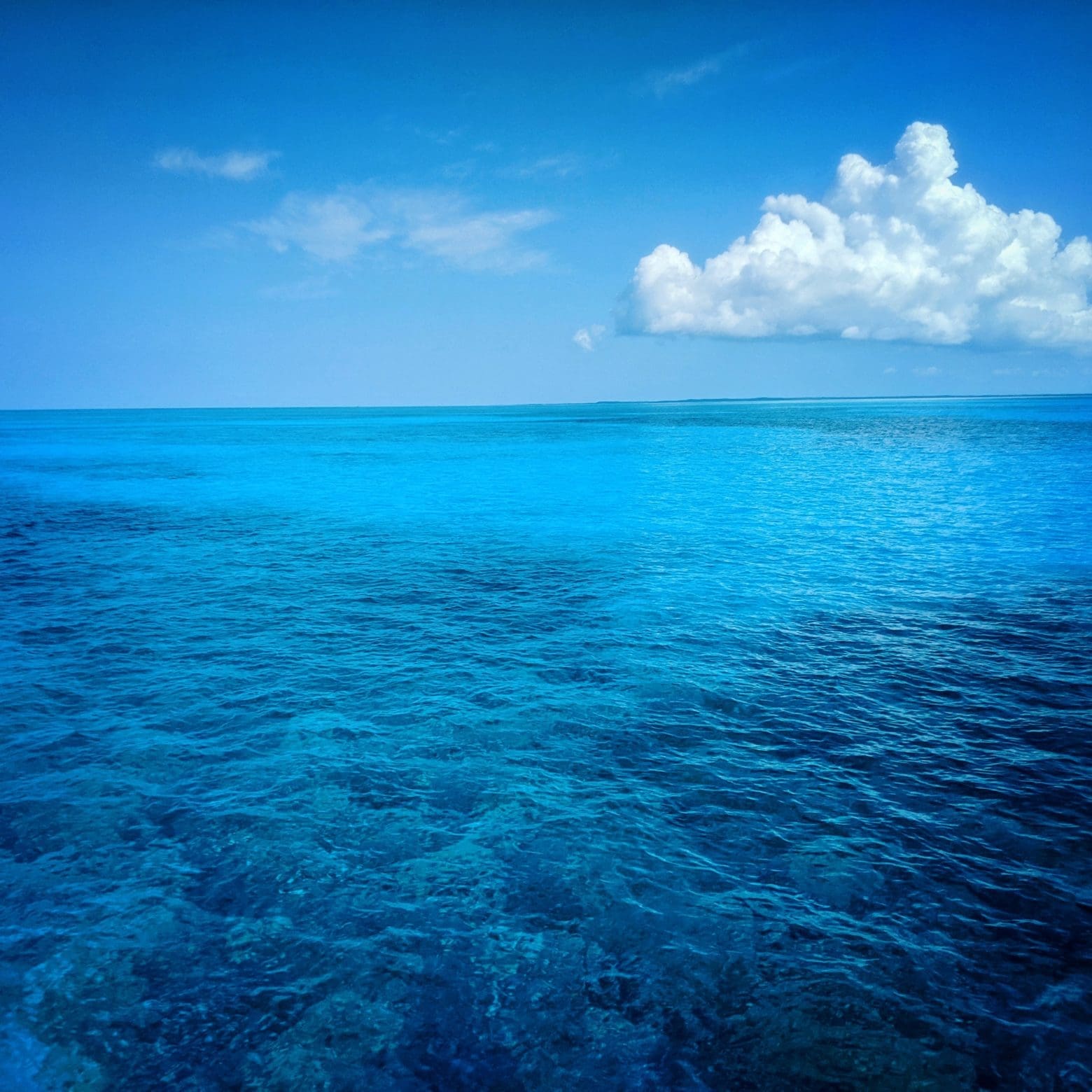 Water Water Everywhere